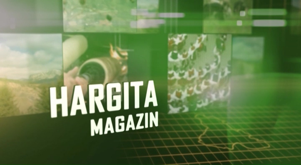 Videó – Hargita magazin, 2022. december 28.