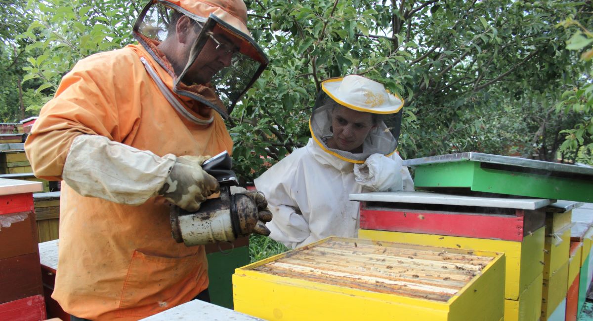 Nem ér véget nyáron  a méhész tevékenysége