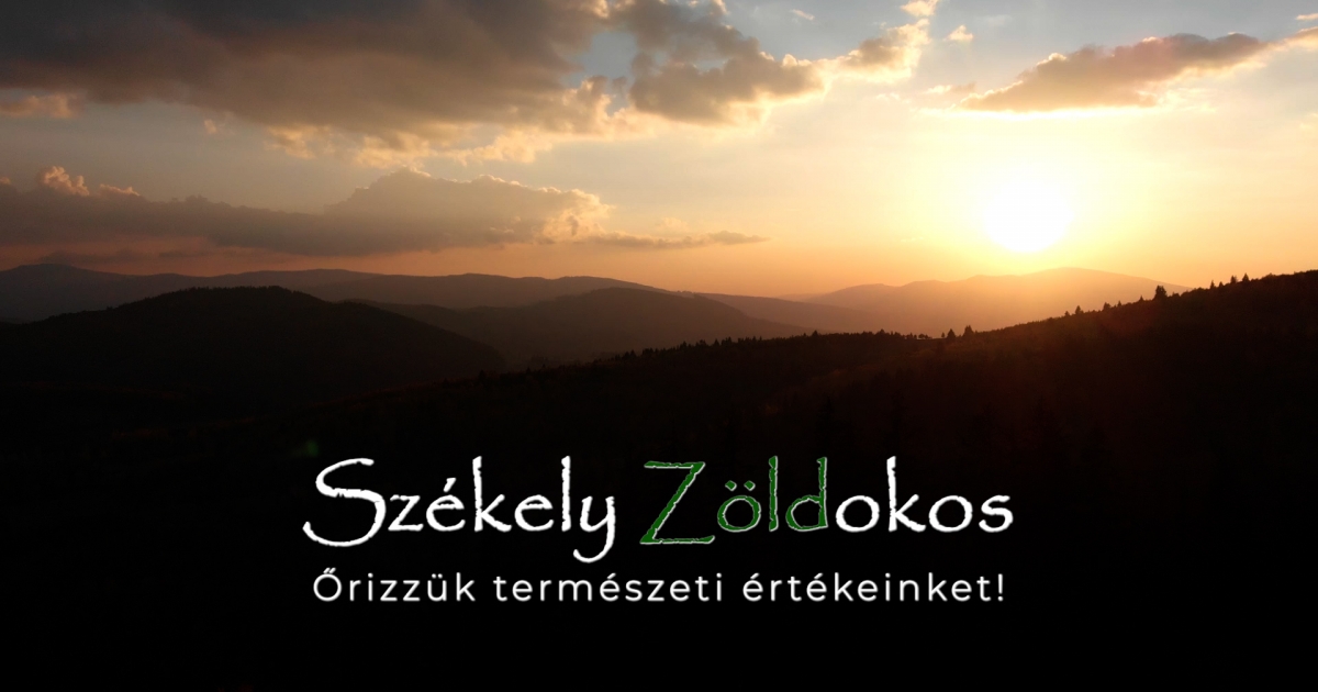 Videó – Székely Zöldokos, 2022. december 24.