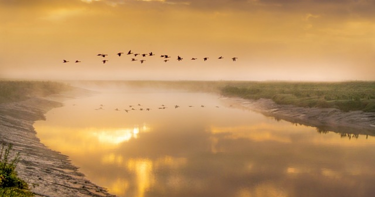 Előadás Csíksomlyón