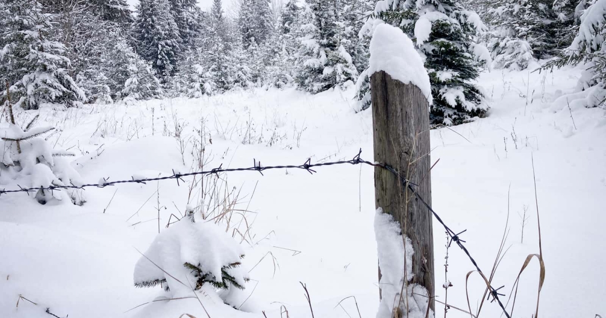 Mínusz tíz fok alá süllyedt a hőmérséklet Csíkszeredában