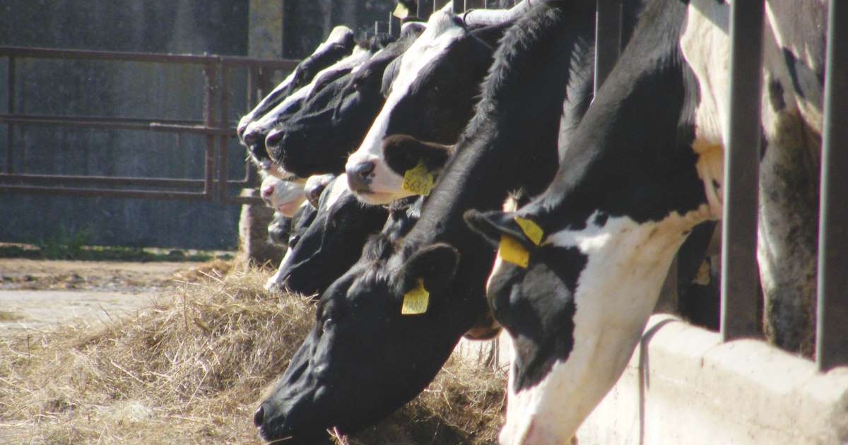 Javítják a termelés minőségét  és mennyiségét is