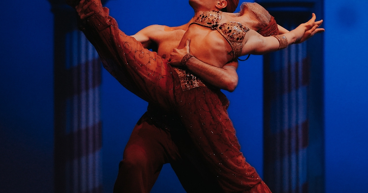 Újabb művészportré Drezdából