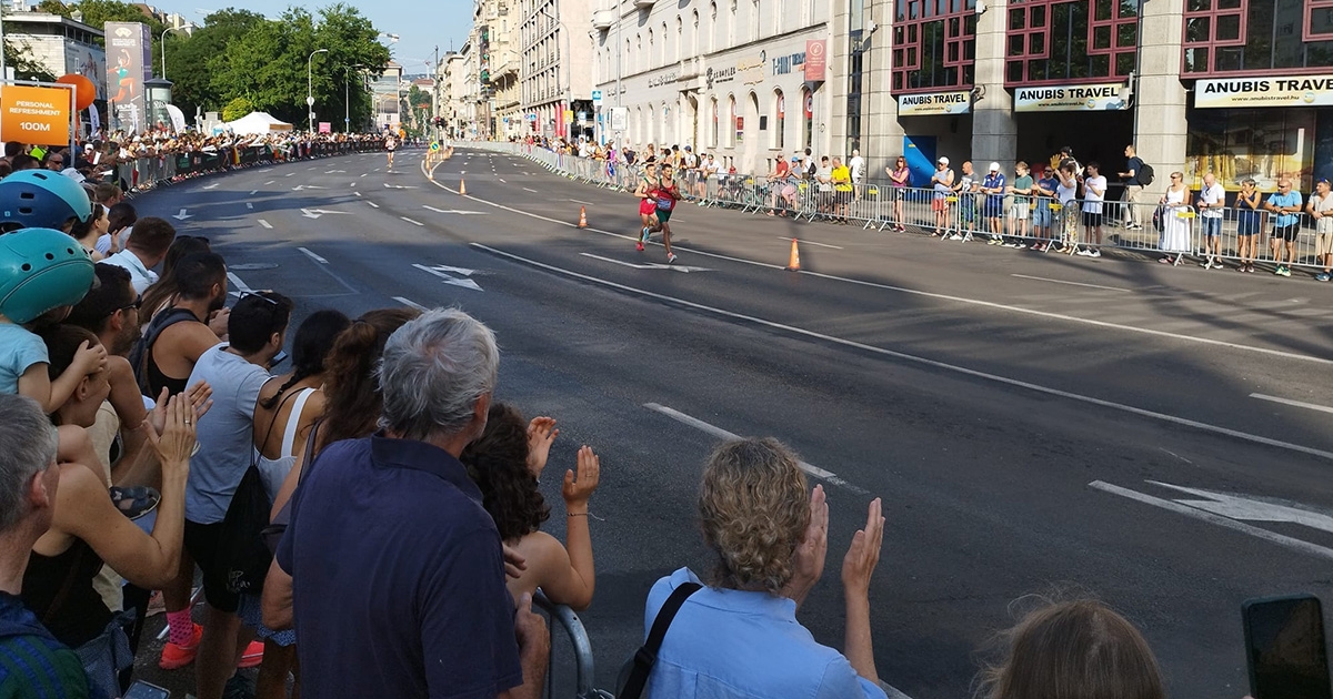 Budapest és a cigánypecsenye esete