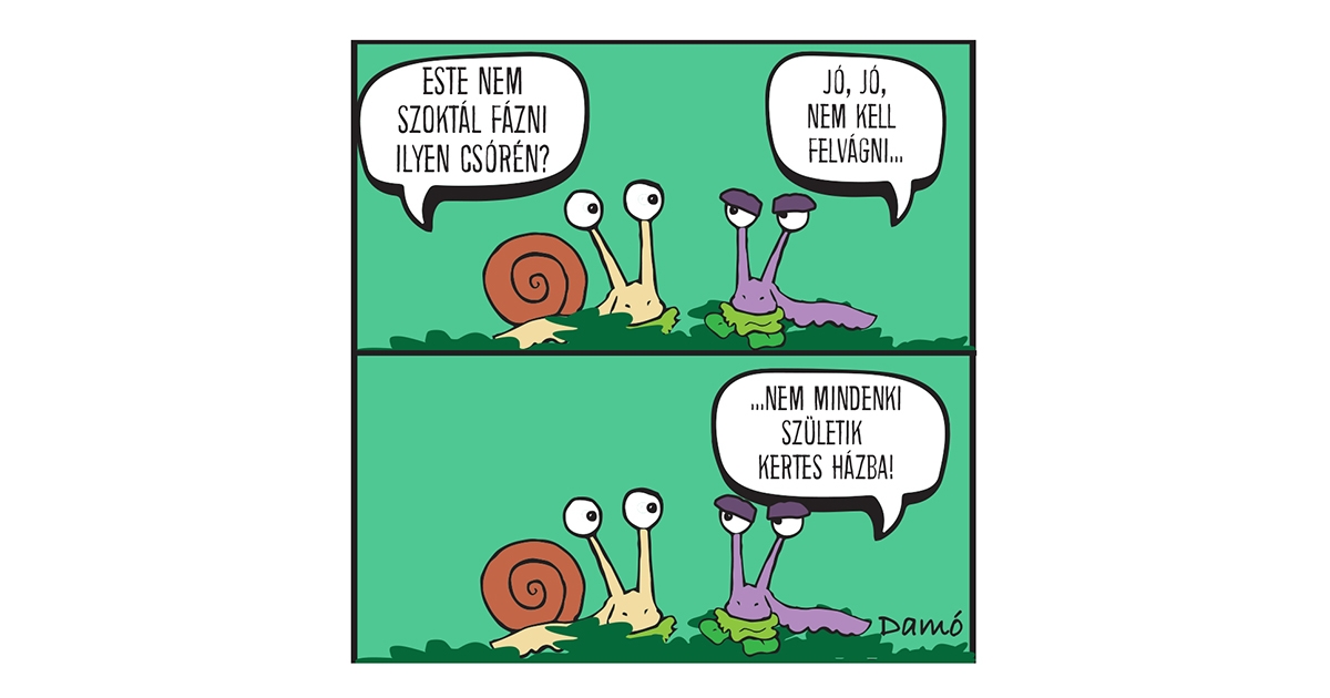 Heti Damó