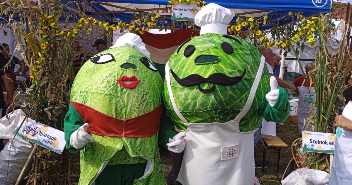 Három napig ünneplik a töltött káposztát