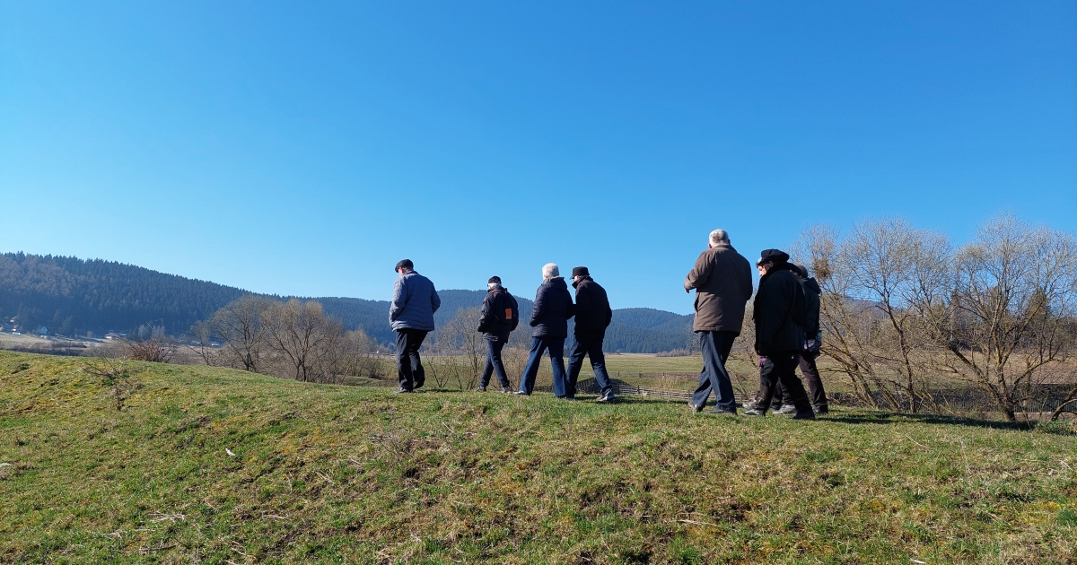 Zöld séta a Providentia Idősek Központjával