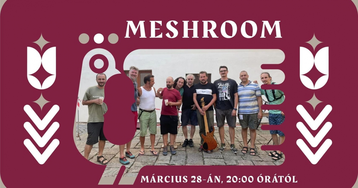 MESHROOM-KONCERT