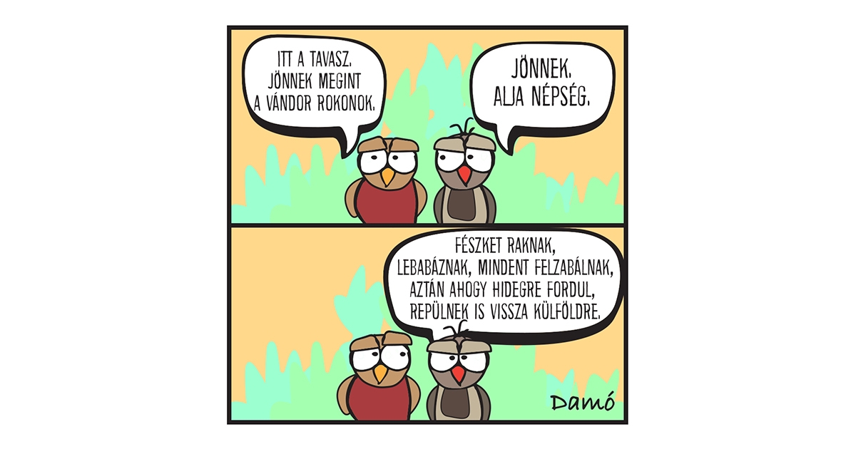 Heti Damó