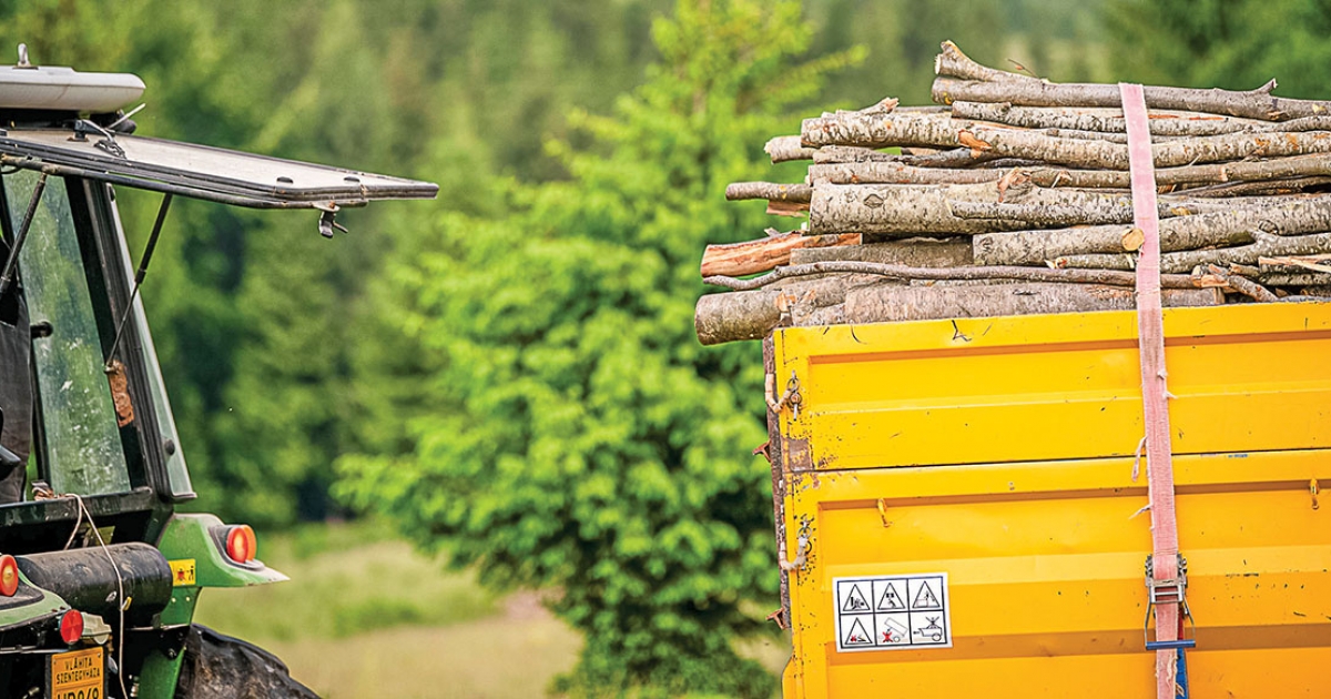 Nem tudta bizonyítani egy bélbori cég, hogy legálisan jutott harminchét köbméter faanyag birtokába