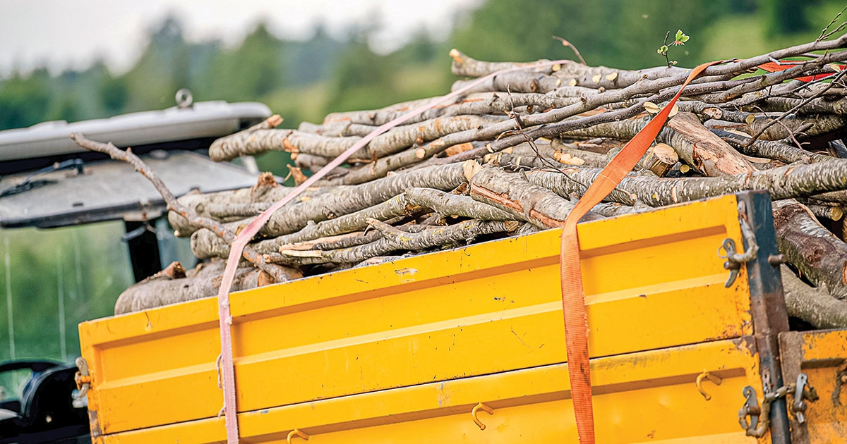 Több mint 135 köbméter faanyagot koboztak el egy csíkszentkirályi cégtől