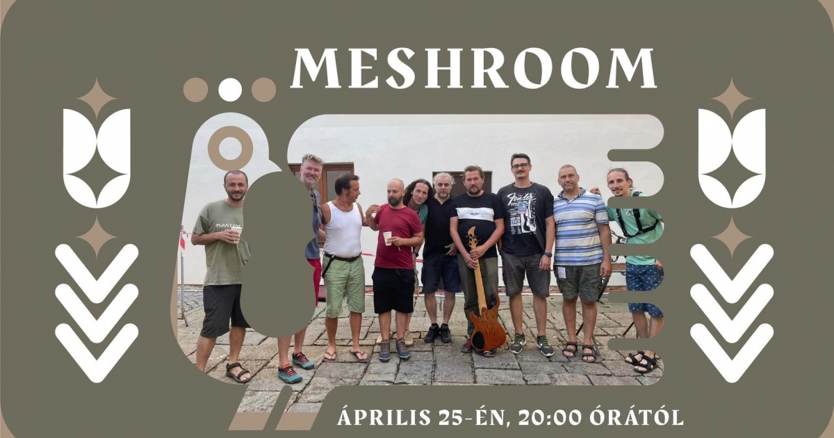 A Meshroom zenekar koncertje