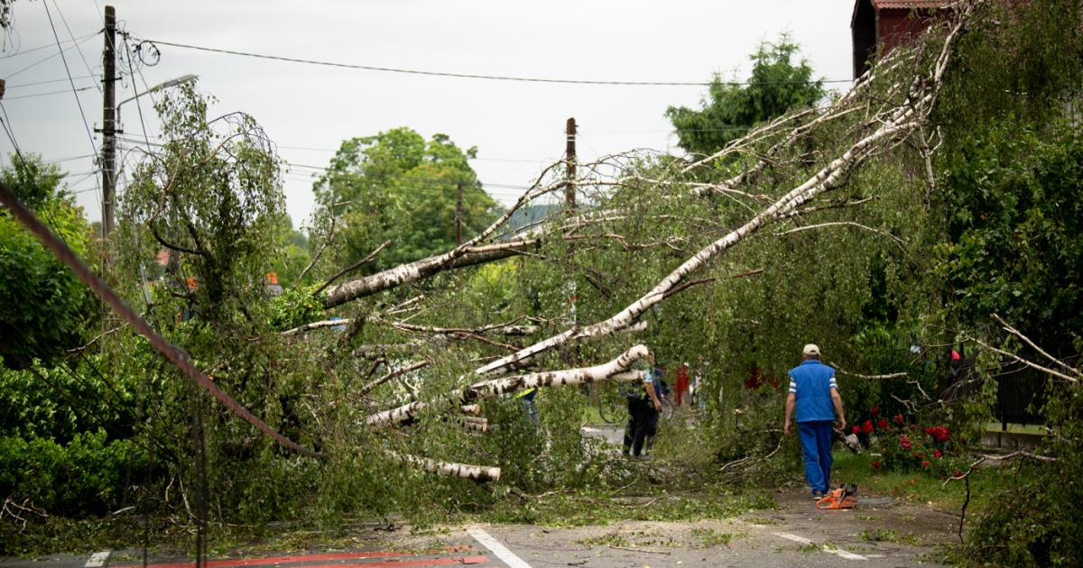 Lecsapott a vihar: fákat döntött ki az erős szél, cserepek potyogtak Székelyudvarhelyen