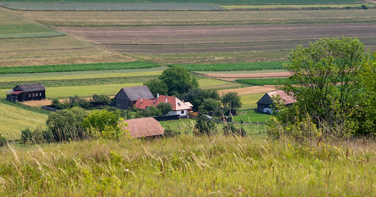 Hozó Levente: boldogság ide mindennap hazatérni