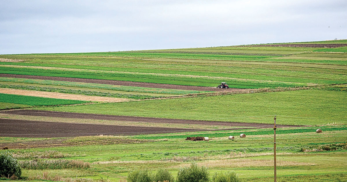 Termelői csoportok létrehozása, DR – 33