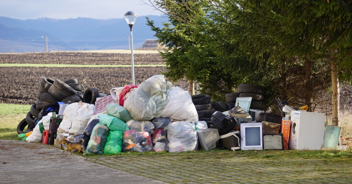 515 ellenőrzés és 1,7 millió lej bírság