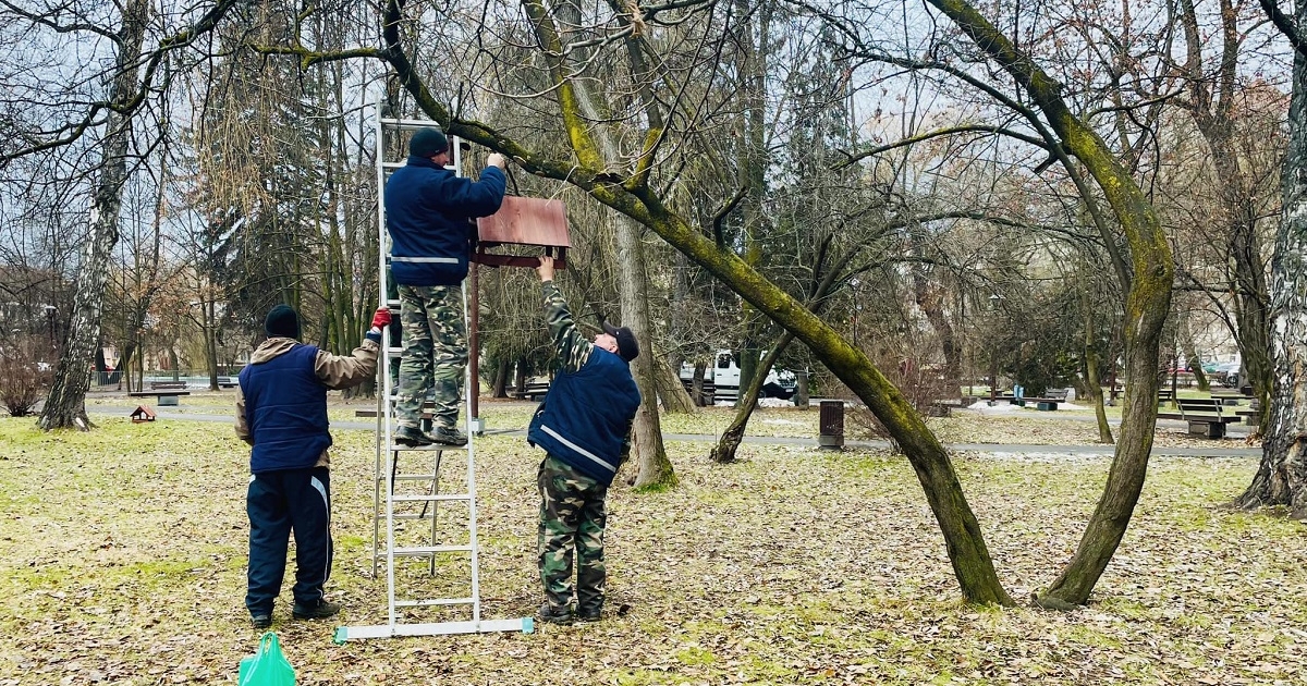 Madáretetőket szereltek fel a központi parkban