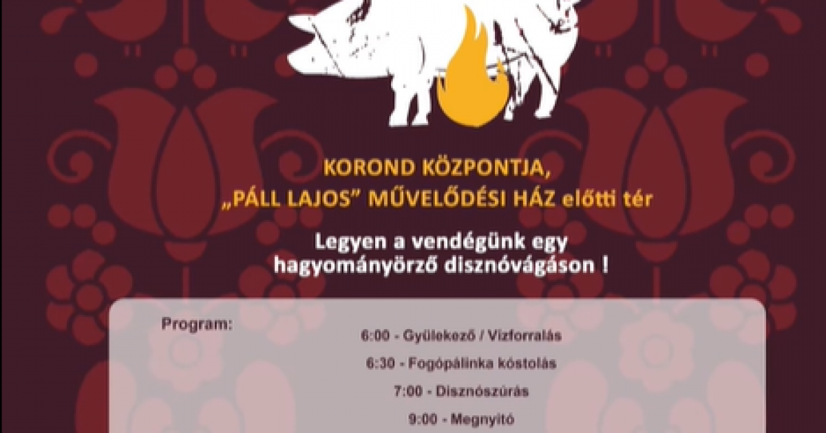 Ízig-vérig disznótoros fesztivál