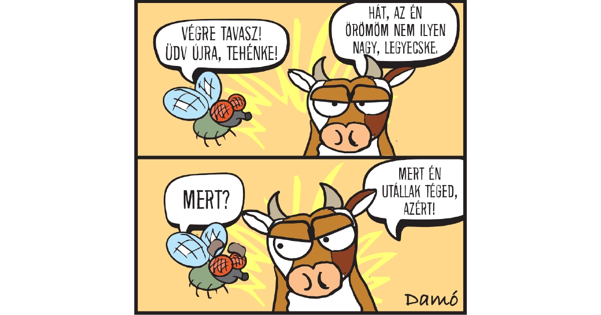 Heti Damó