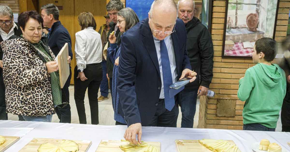 Keresik a legjobb sajtokat