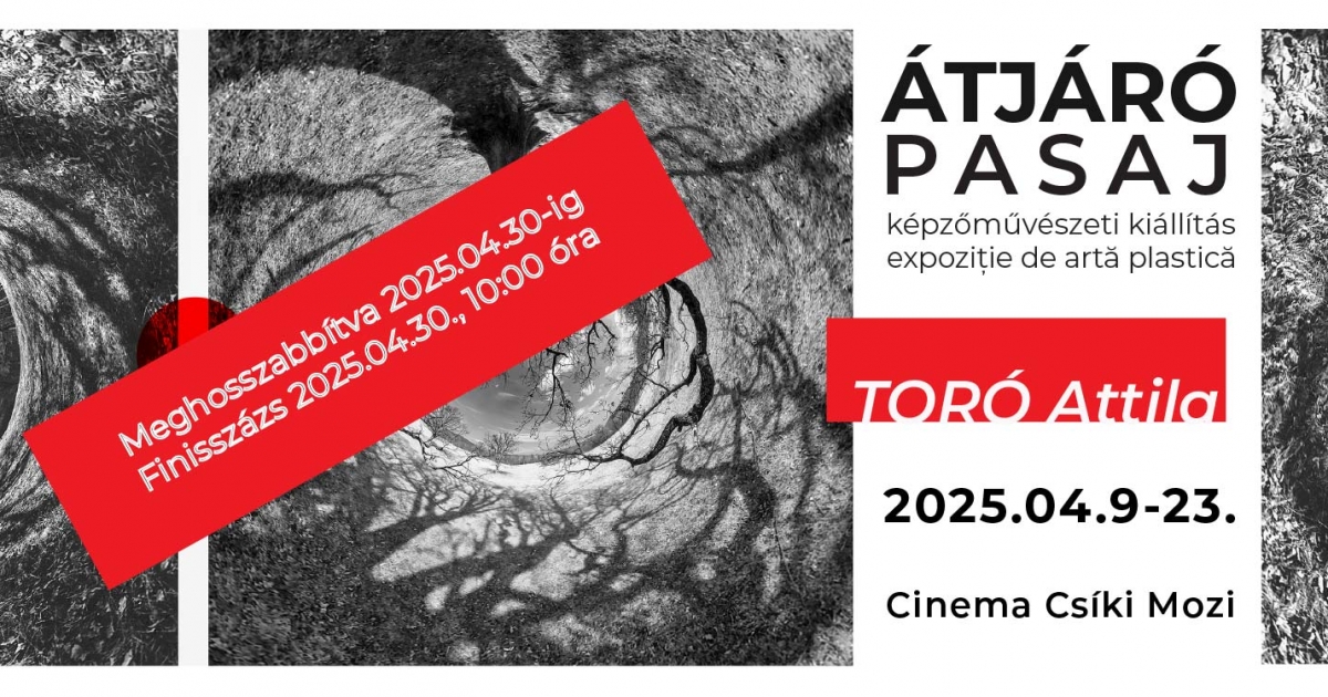 Alkotói tárlatvezetés