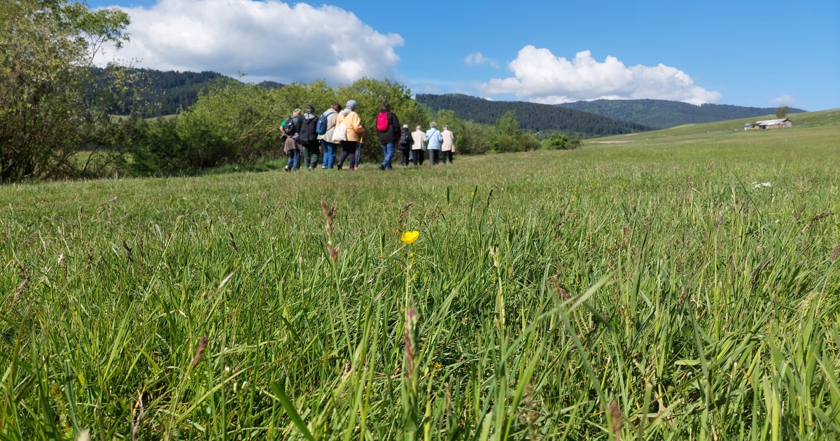 Zöld séta a Providentia Idősek Központjával