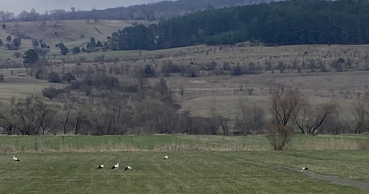 Biodiverzitás  és mezőgazdaság