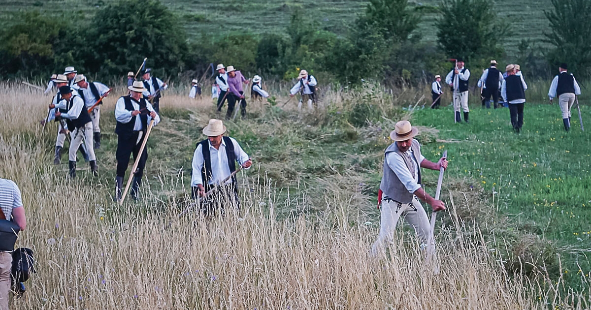Hagyomány, munka, közösség