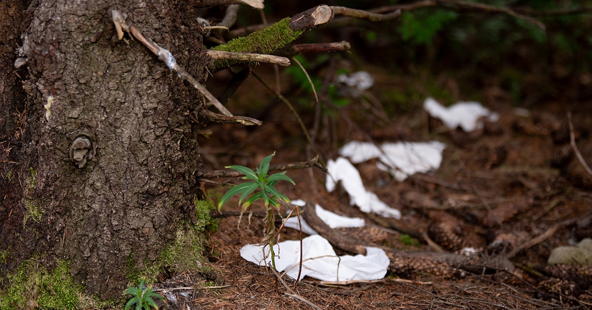 „Szent hegyként” emlegetik, illemhelynek használják