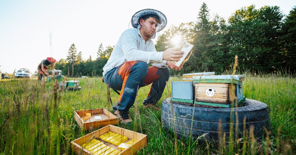 A méhek nyelvén értek