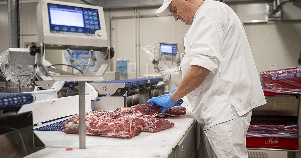 A feketegazdaság térnyeréséhez vezethetnek a kormány intézkedései