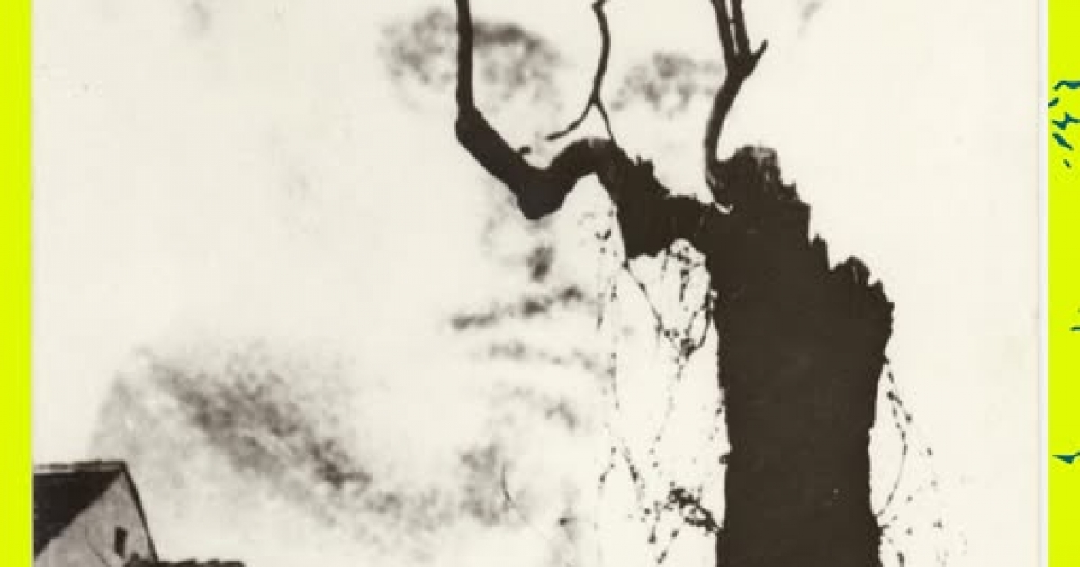 A mi Petőfink – Igazság és legenda