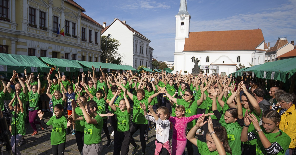 Várják a szervezetek jelentkezését