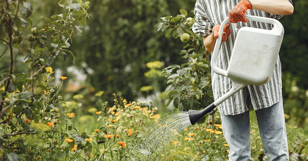 Pénztárcabarát vízhasználat