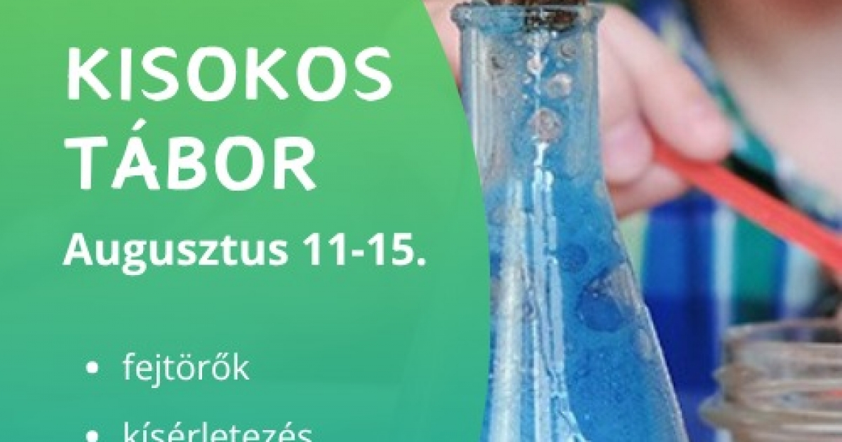 Kisokos tábor a Csalogányban