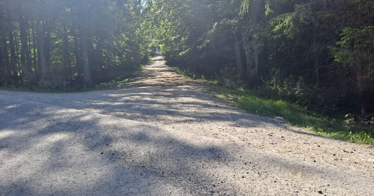 Aszfaltút Csíkszentkirály és Erdőfüle között