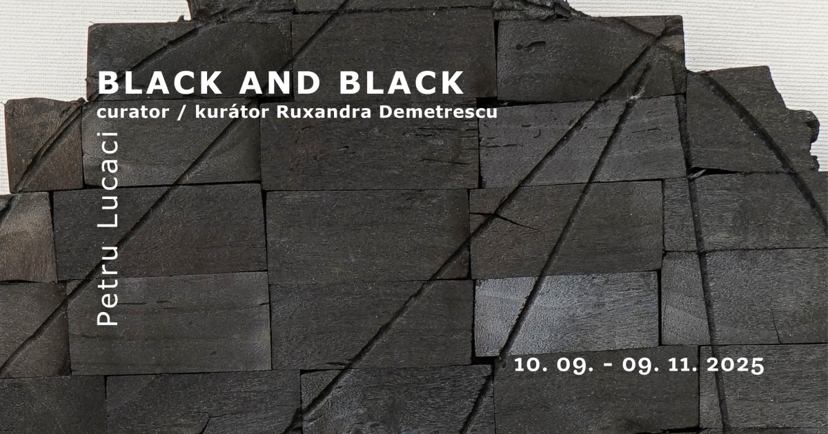 Kiállításmegnyitó: Black and Black