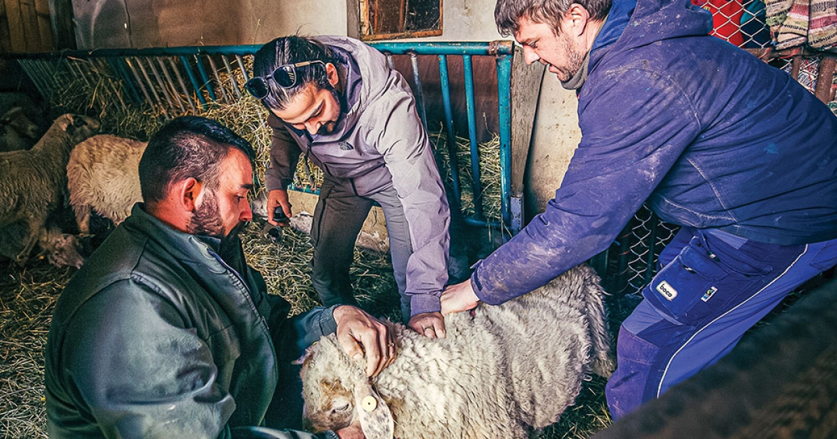 Felkészült-e Románia a járványok korára?