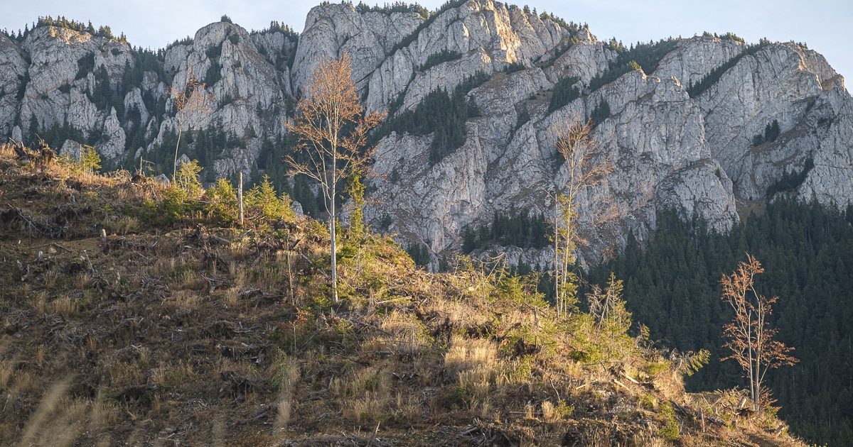 13 millió lejes beruházás a Nagy-Hagymásban