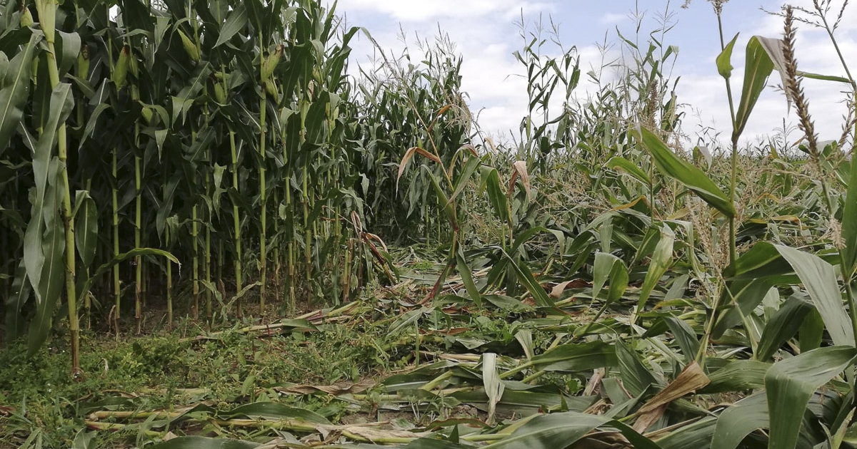 Nem villámgyors, de nem is vánszorog a kártérítési folyamat