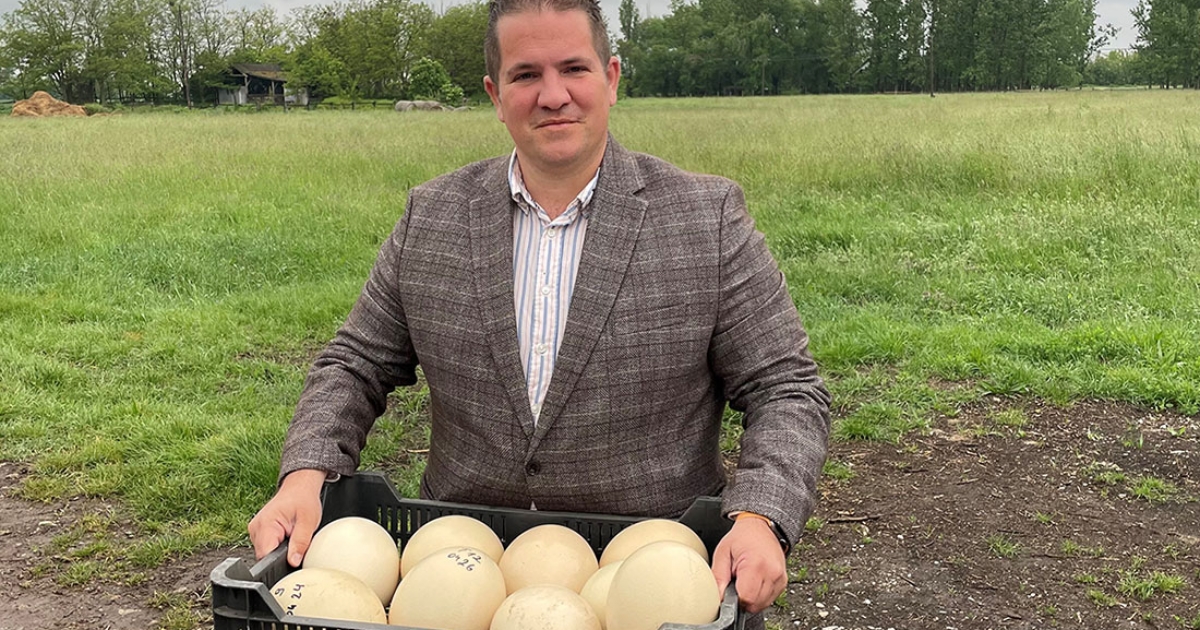 De vajon mindegyik egyforma?