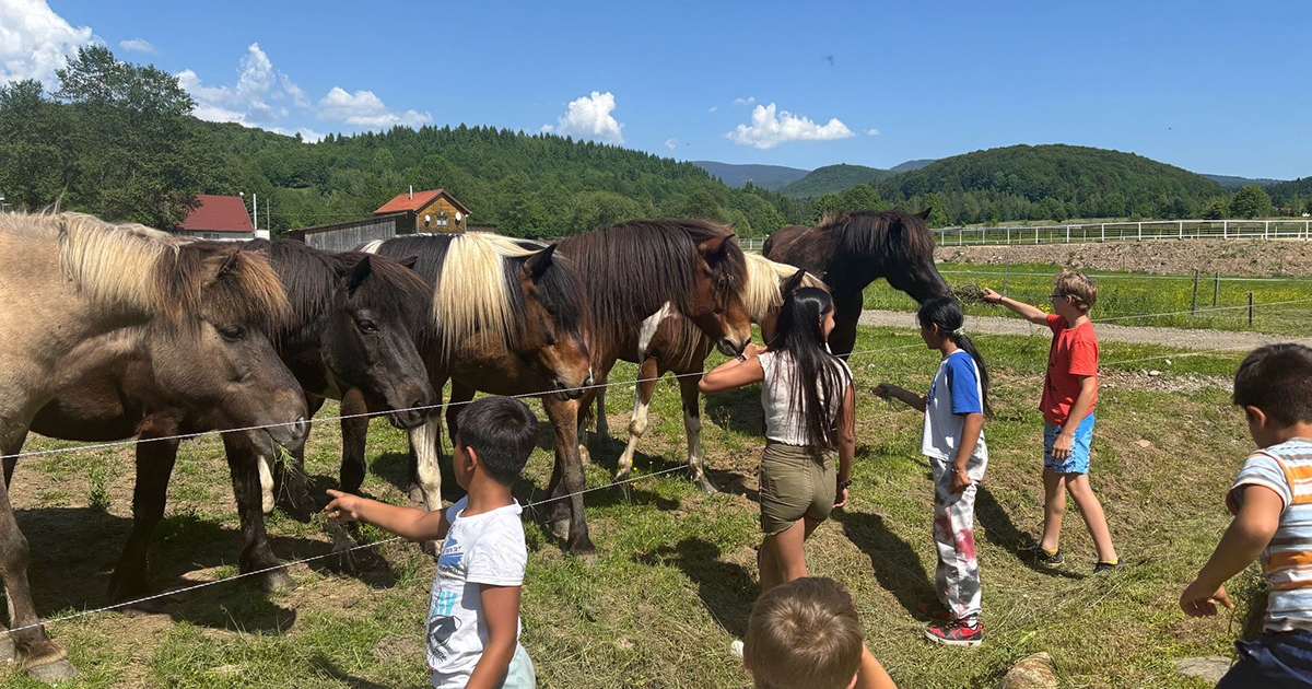 A MOL Gyermekgyógyító? Kik a FEHÉRLÓFIAI? És mit jelent a komplex lovas terápia?