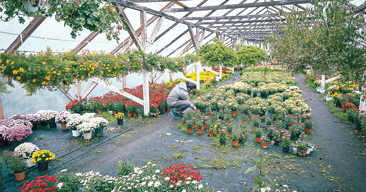 400 millió eurós támogatás