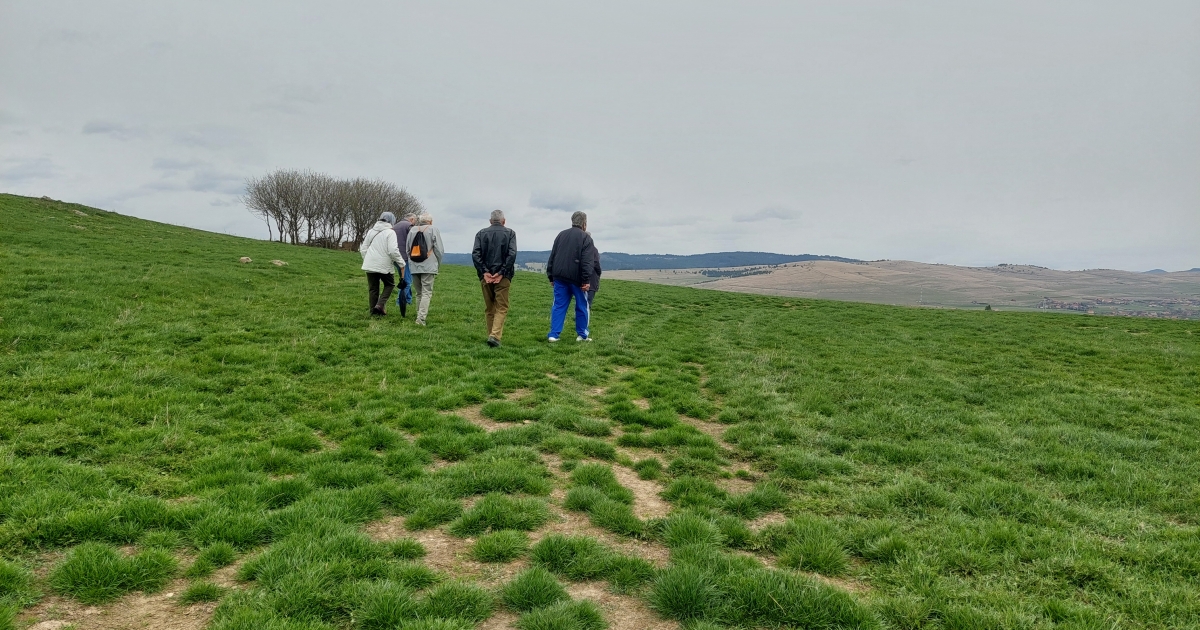 Zöld séta a Providentia Idősek Központjával