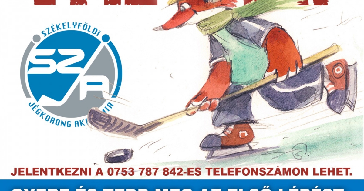 Nyílt nap a Molnár Lajos Műjégpályán