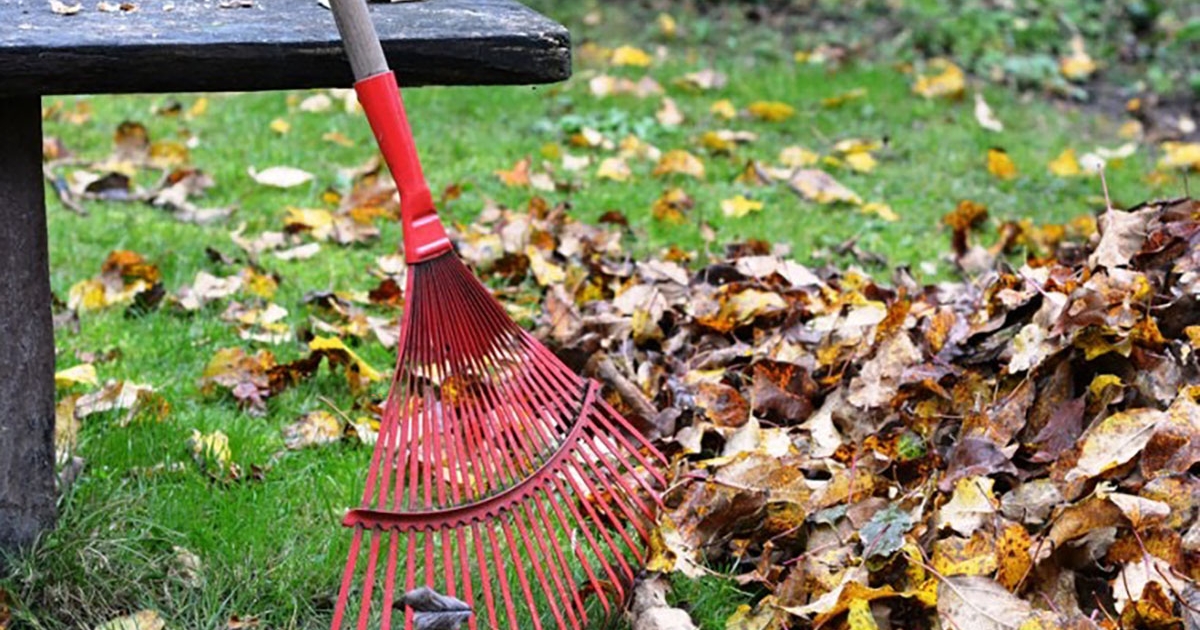 Összegyűjtik a zöldhulladékot Székelykeresztúron