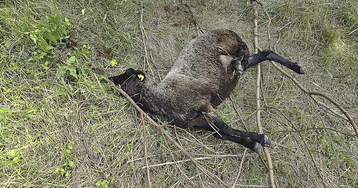 Csökkenő tendencia