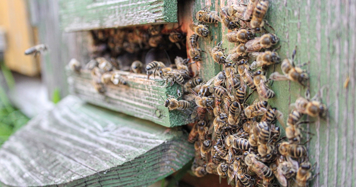 Keserű kezdet után édesebb zárás