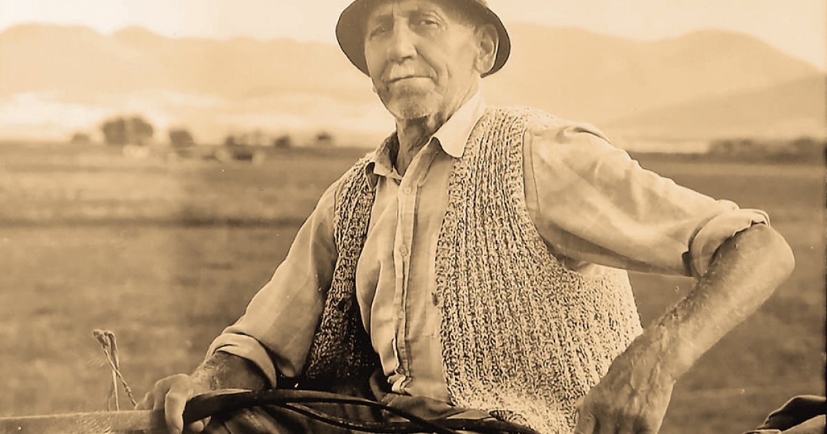 Munkával teli teljes élet