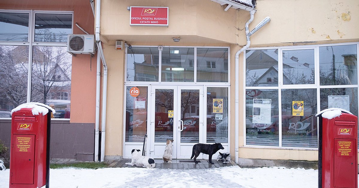 Nyereséges a posta, de nehezen tudnak informatikust alkalmazni